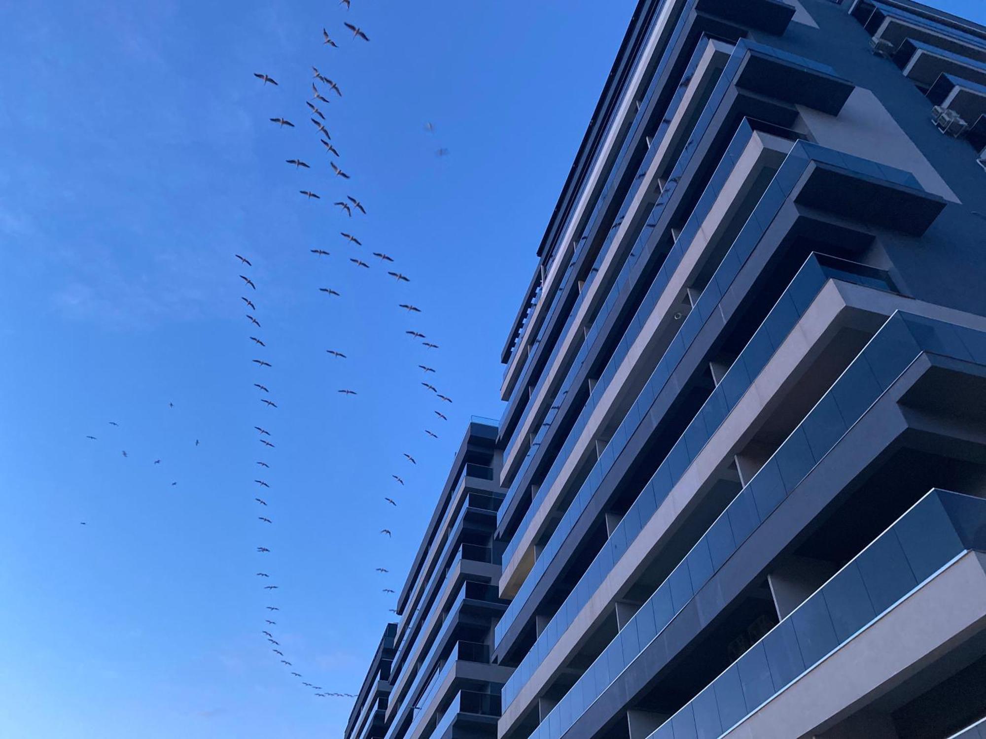 Elysse Sunrise Apartment Mamaia Εξωτερικό φωτογραφία